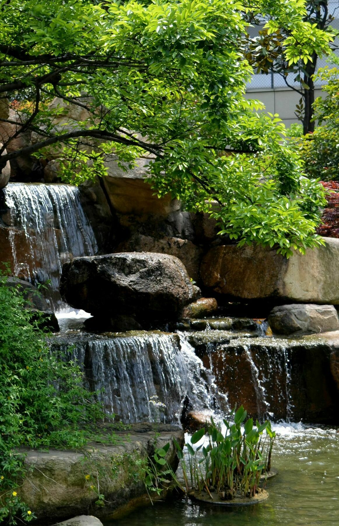 Millennium Hotel Wuxi Wuxi  Exteriör bild